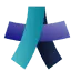 Bridge Advisory and Consulting Pvt Ltd