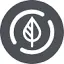Dovu Limited