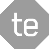 Techedge S.p.A 