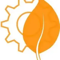imds professional GmbH & Co. KG