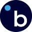 Bindle Systems, Inc.