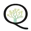 Qwihi Innovations